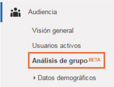 analisis-de-grupo