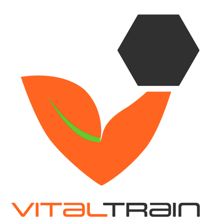 Vitaltrain - Imagen Corporativa y Desarrollo Web desarrollado por Innovamedia.