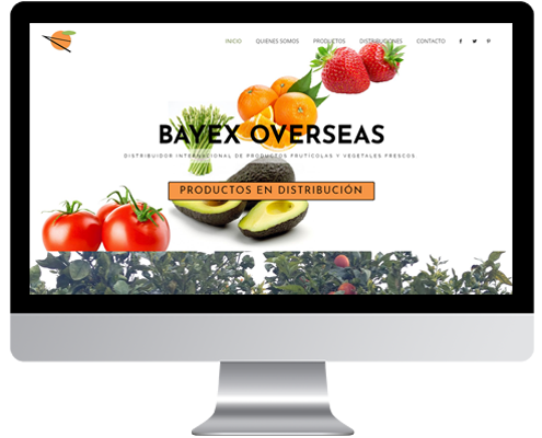 desarrollo web bayex